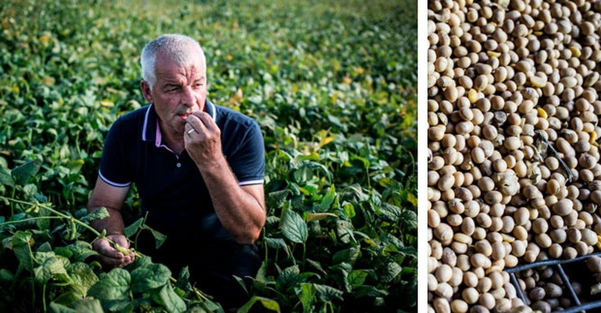 Manger durable : mode d'emploi