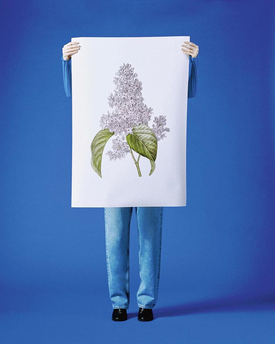 Origines inspirantes