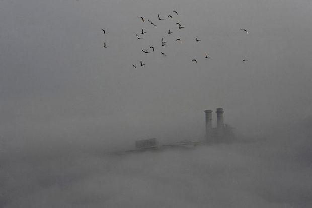 Le 16 février dernier, le smog recouvrait tout Wuhan, une ville chinoise.
