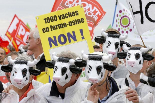 Des manifestants protestent contre le projet de la ferme aux 1000 vaches.