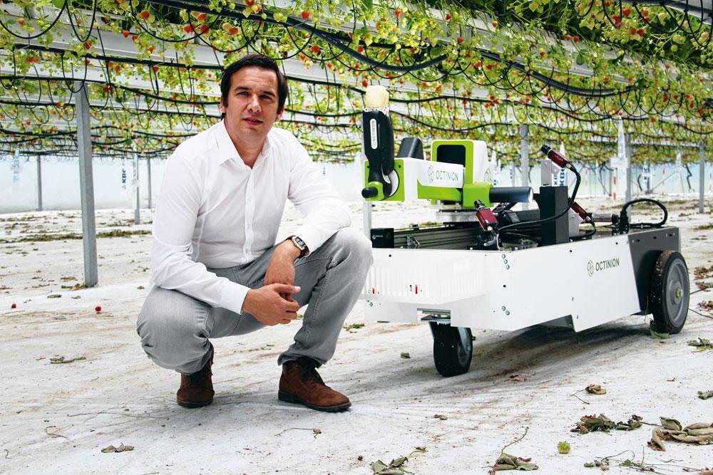 Ce robot belge qui cueille les fraises avec délicatesse