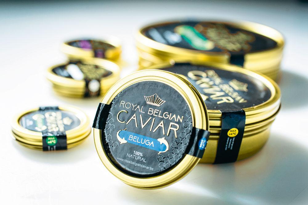 8. La mise en boîte - Le précieux mets est empaqueté dans des boîtes de 10 grammes à 1 kilo, fermées hermétiquement à l'aide d'une machine. Le caviar se compte au dixième de gramme près. 