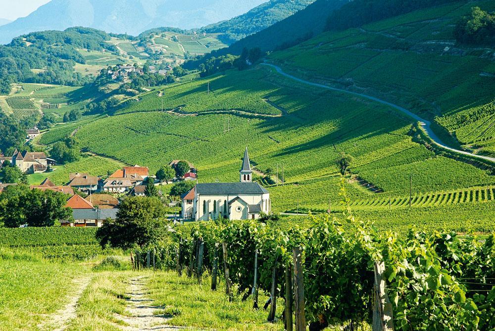 Les vignobles de Jongieux et Marestel sont situés à l'ouest du lac du Bourget.Les paysages y sont magnifiques entre Rhône et montagne.