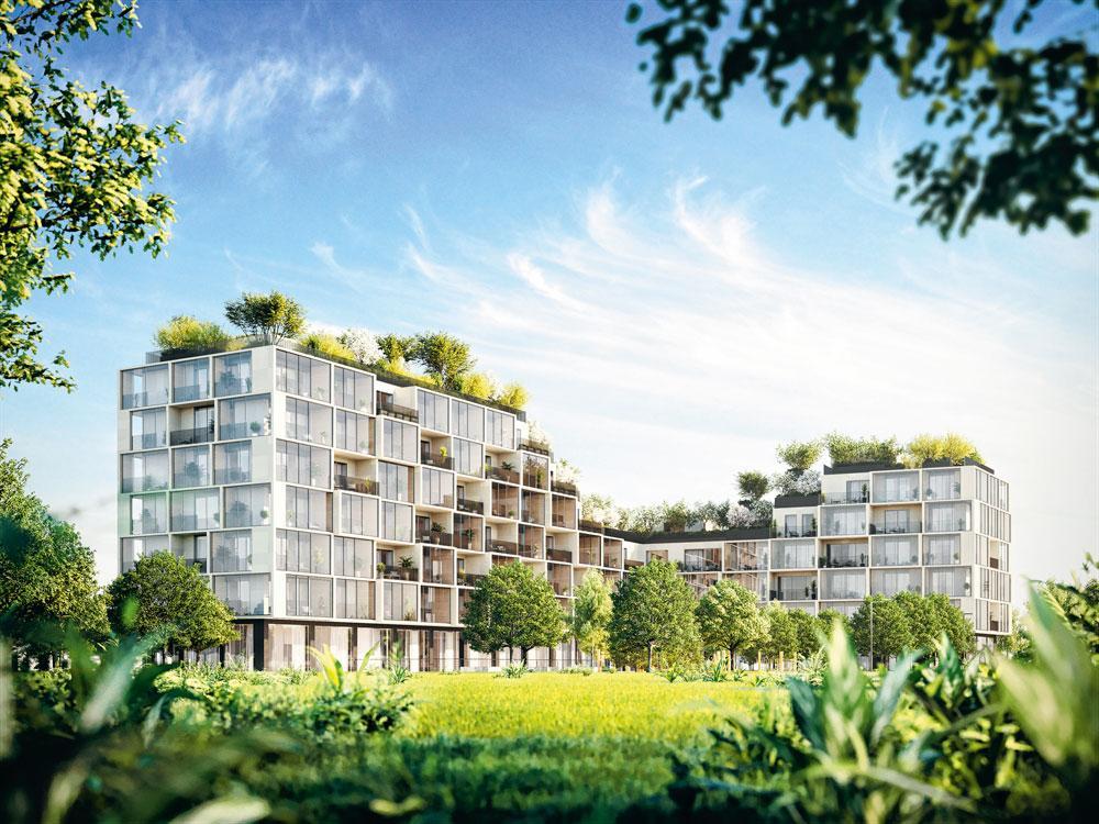 ANVERS L'architecte italien Stefano Boeri, connu pour ses forêts verticales, va réaliser son premier projet belge dans le nouveau quartier Nieuw Zuid.