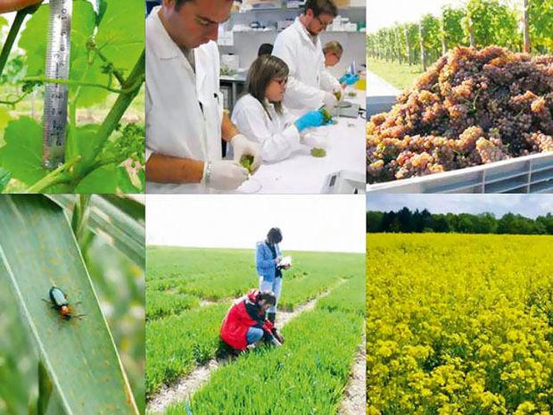Trois entreprises belges qui révolutionnent l'agriculture