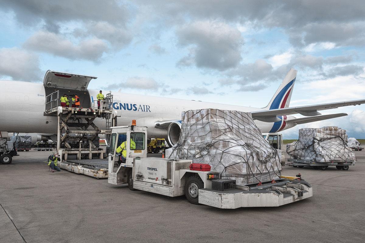 Liège Airport devrait dépasser la barrière du million de tonnes transportées en 2020, contre 900.000 l'an dernier.