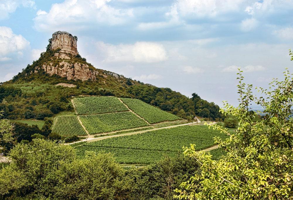 Le Maconnais regorge de vignobles à découvrir  comme à Fuissé, au pied de la Roche de Solutré.