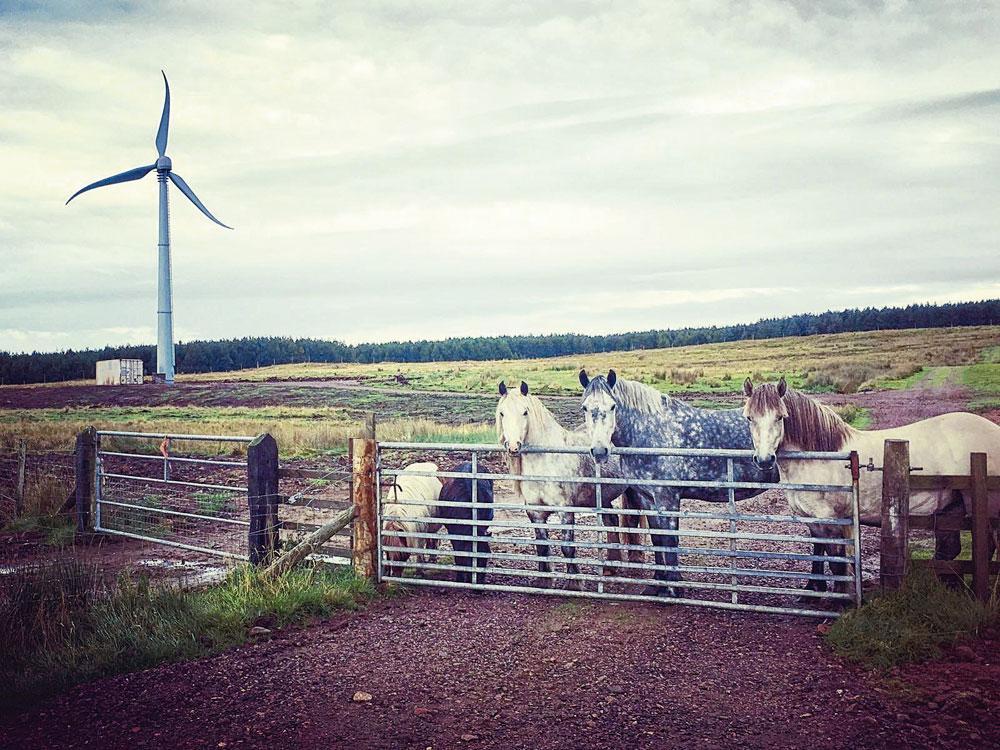 En Belgique, la demande de projets éoliens de petite et moyenne puissance provient principalement des exploitations agricoles.