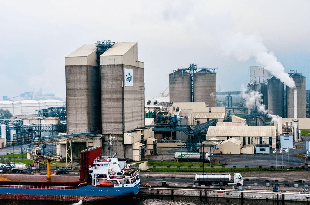 L'Europe mise son avenir industriel sur la biomasse