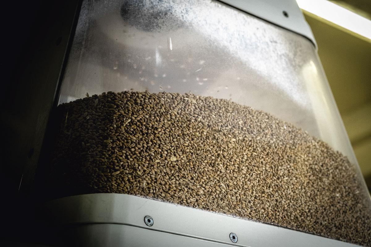 1. Du blé européen Installée à Wanze, près de Huy, BioWanze est très fière de son usine, qui tourne en quasi-suffisance énergétique. Ici, la durabilité n'est pas un vain mot: ce n'est pas du soja brésilien qui est utilisé comme matière première pour produire le bioéthanol et ses coproduits (dont le Gluten) mais du blé en provenance de l'Union européenne et transporté par bateau et camion. Et la moitié de ce blé est produite en Belgique.