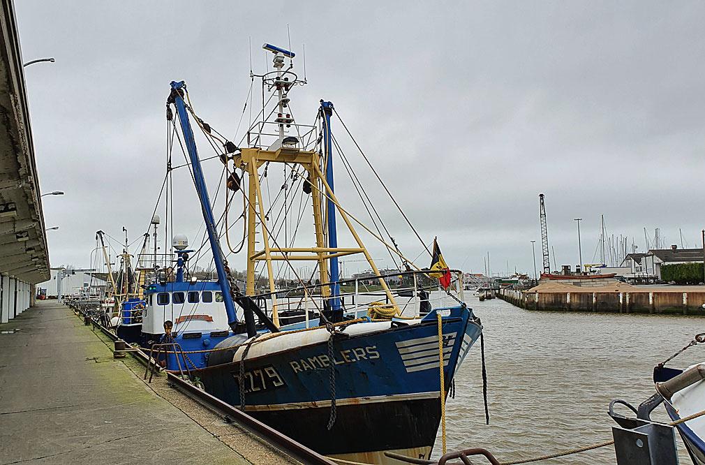 Routier, pêcheur, scientifique... Les voix du Brexit