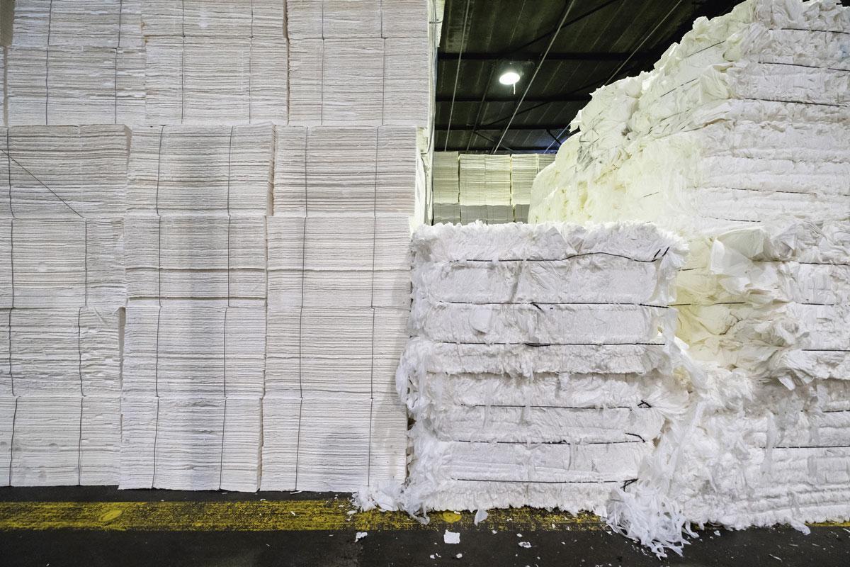 En visite chez Essity: dans les coulisses de la production de papier-toilette (en image)