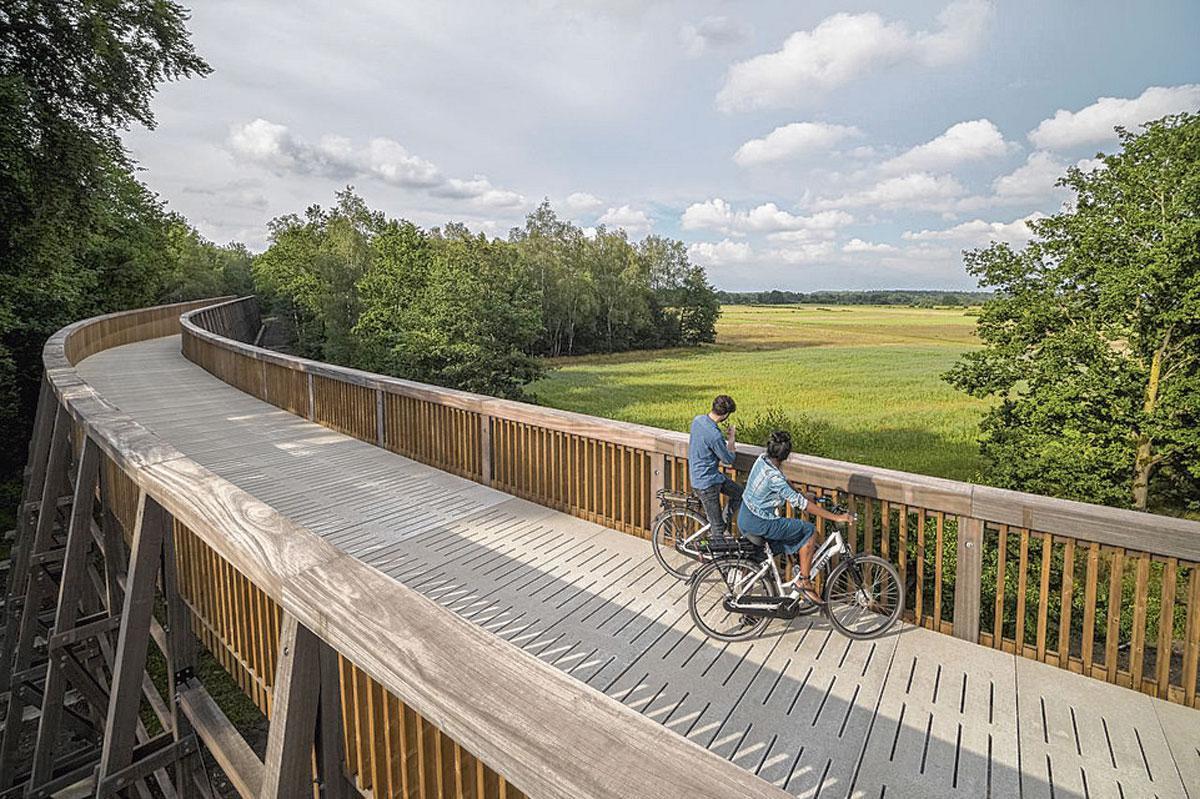 Une nouvelle route cyclable dans le Limbourg, au-dessus des bruyères pourpres