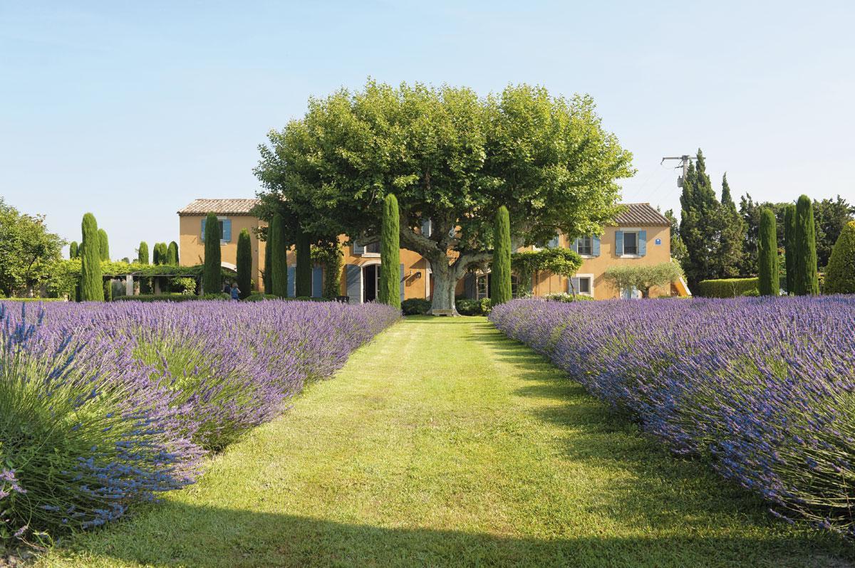Provence D'un simple rêve, la seconde résidence est devenue une priorité.