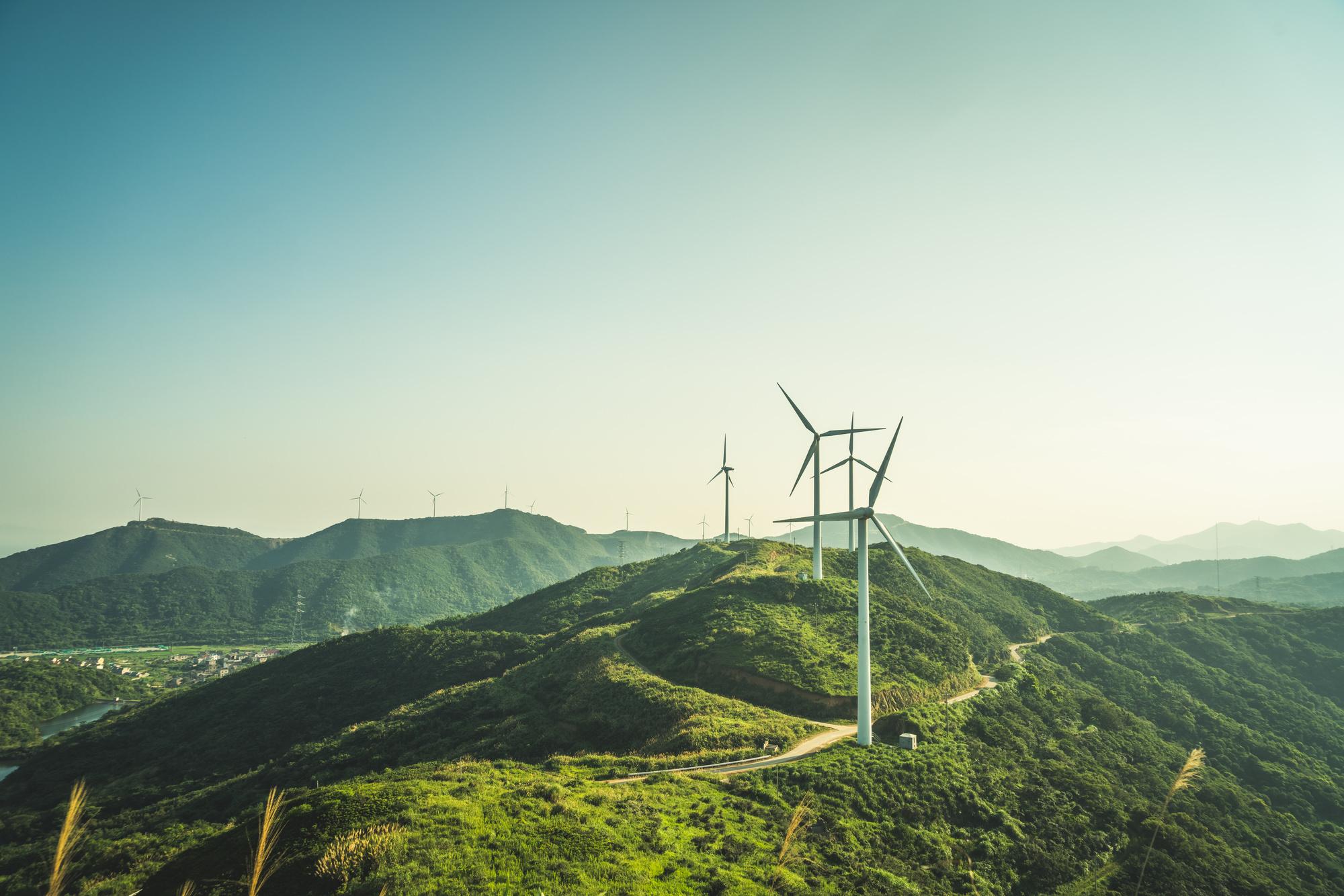 Quels sont les gagnants de la transition énergétique?