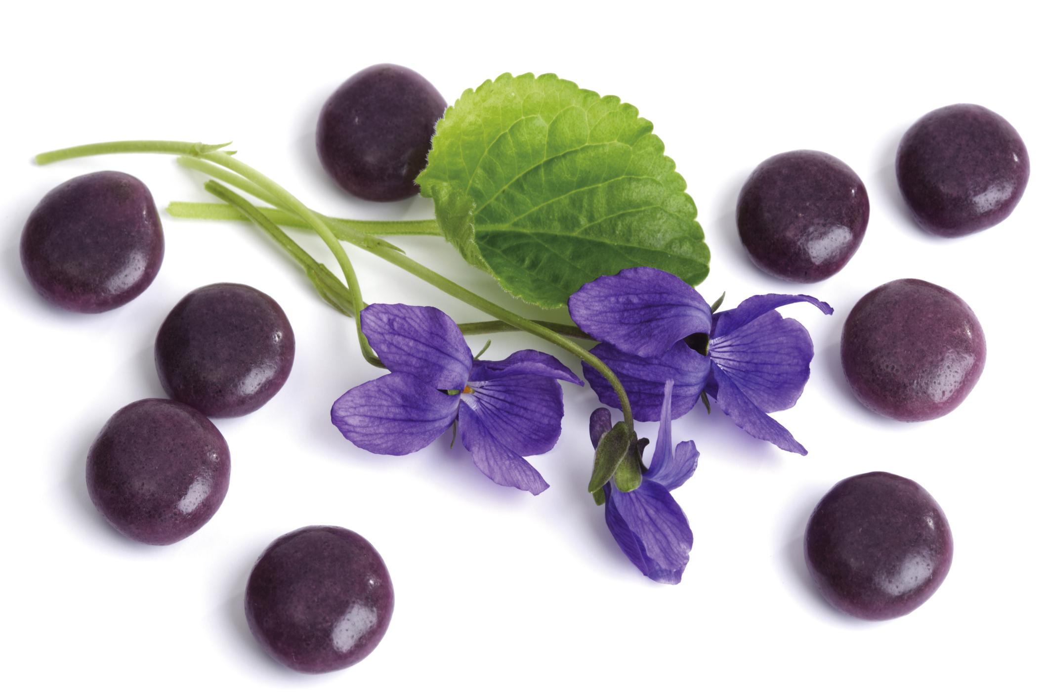 violetjes Maarts viooltje