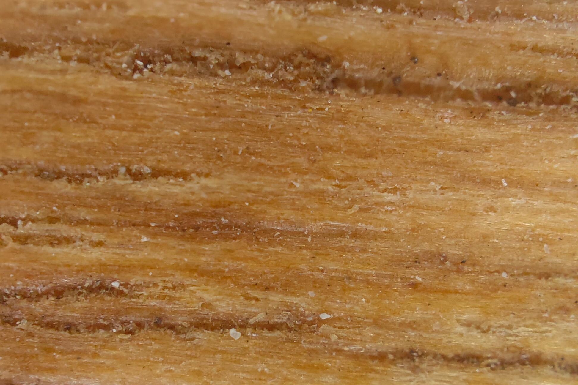 Een (blijkbaar stoffig) stuk hout onder de microscoop.