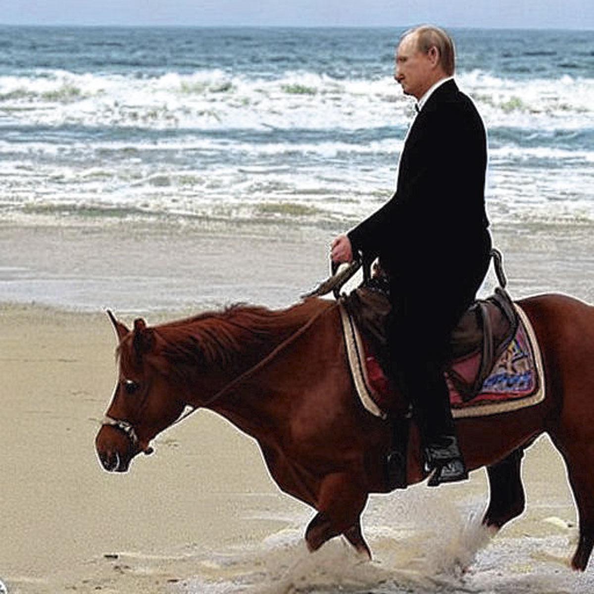 Stable Diffusion beeld met input: 'show putin on a horse in a realistic way on a sunny beach'