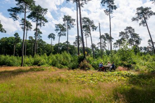lentewandeling