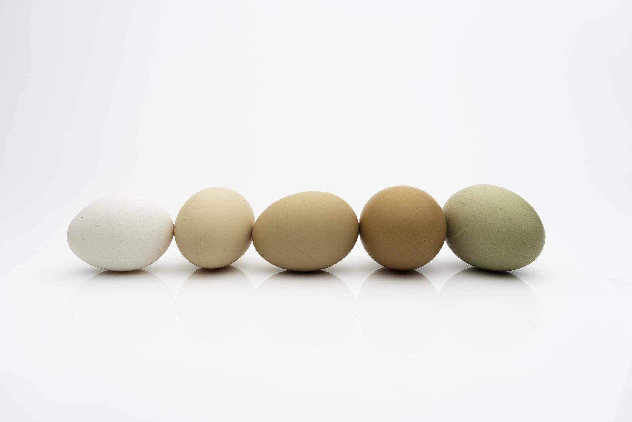 Inloggegevens Onderzoek het Koopje Welke eieren kun je het best kopen? - Libelle Lekker
