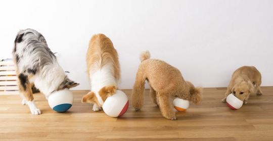 oppo-food-ball-dog-pet-meal-feeder-1