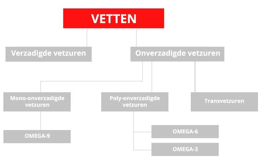 Bron: Vigez – Vlaams Instituut voor Gezondheidspromotie en Ziektepreventie