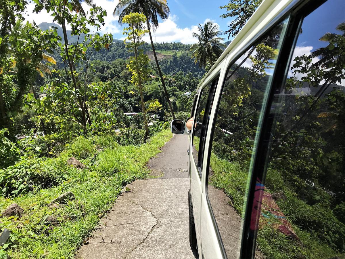 Onderweg in het groene Dominica. (foto AD)
