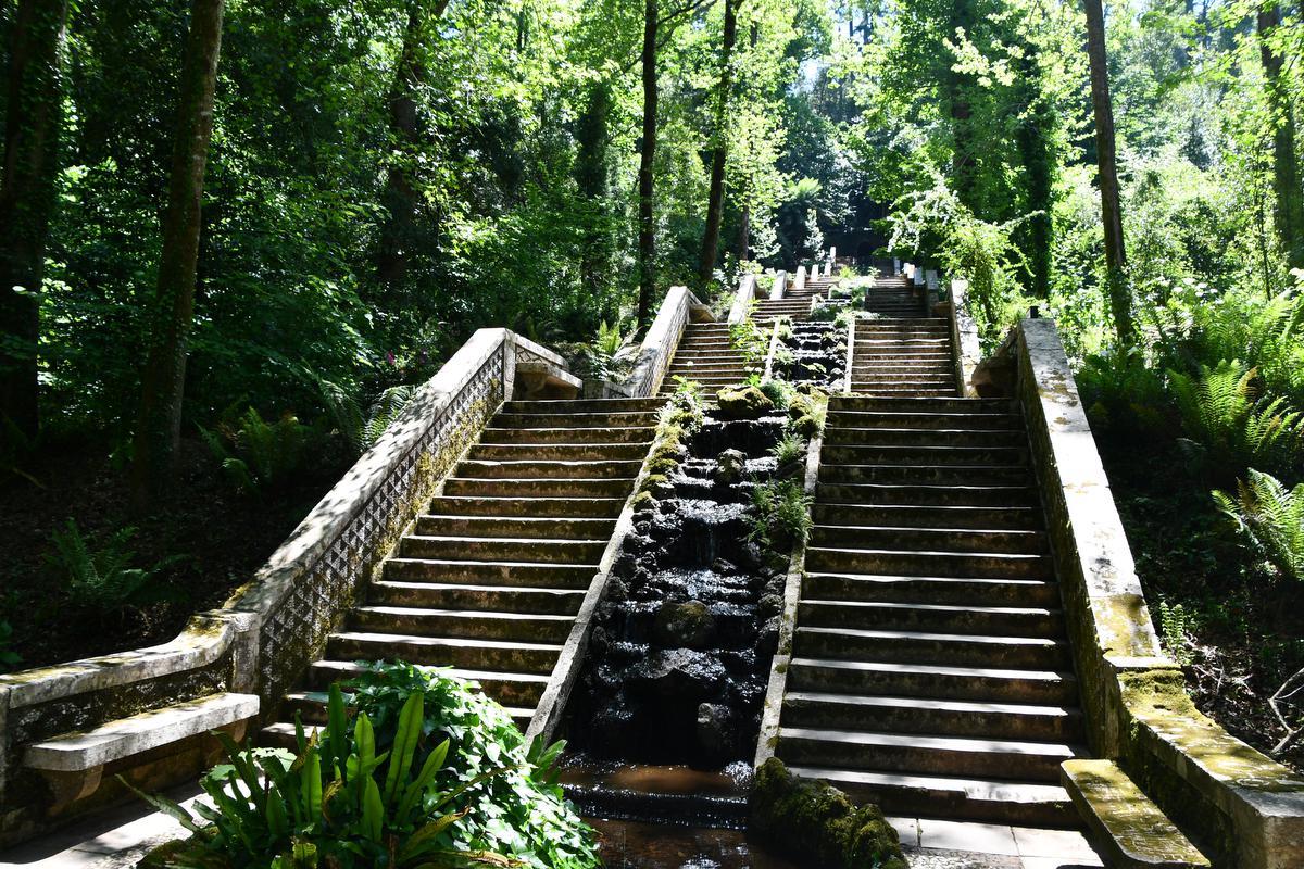 Sprookjesachtig mooi: Fonte Fria in het bos van Buçaco. De trappen leiden naar een waterbron. (foto Peter Van Oyen)