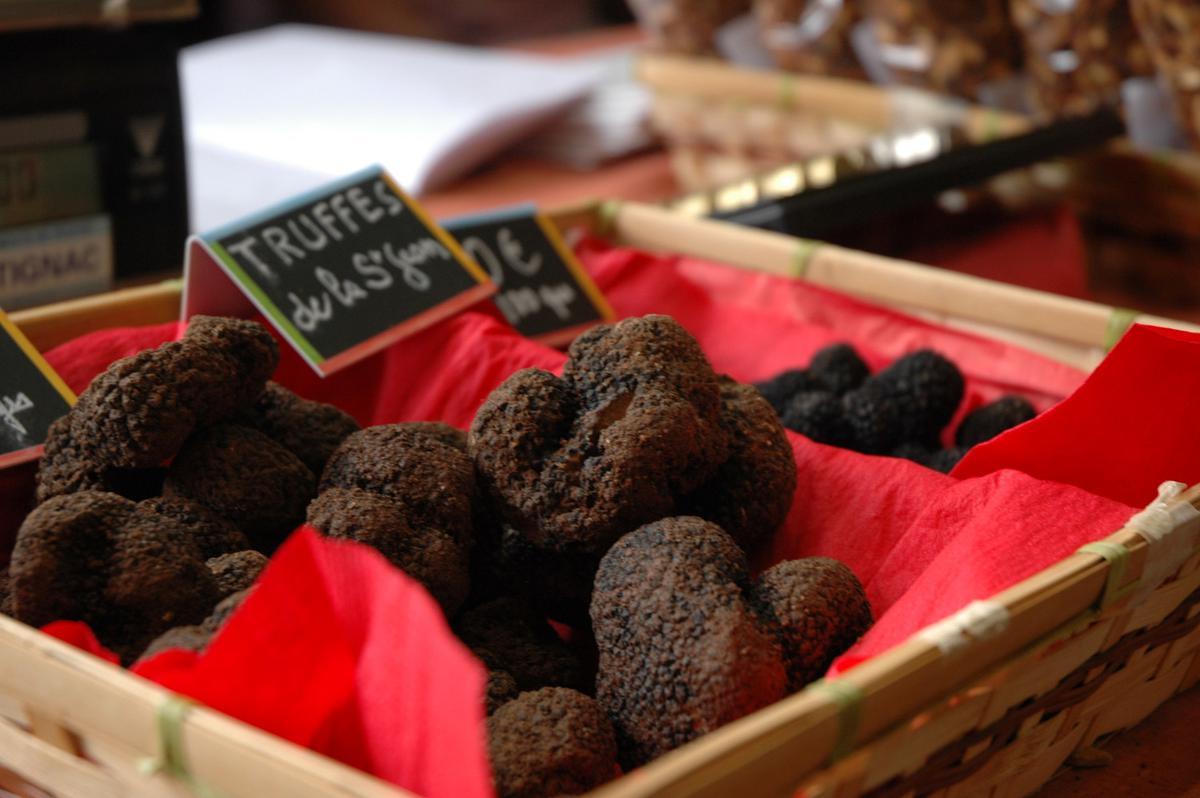 De Dordognevallei: een niet te missen bestemming die cultuur, gastronomie en slow tourism combineert