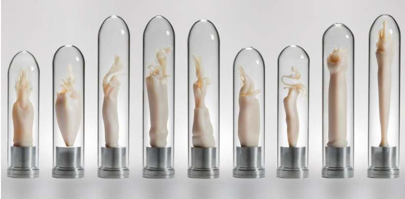 Universitair museum opent expositie over de penis: 'geen stijve bedoening'