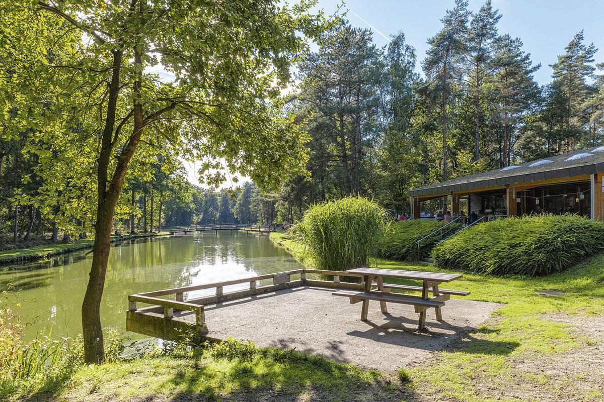 Genieten van het voorbijtrekkende landschap.