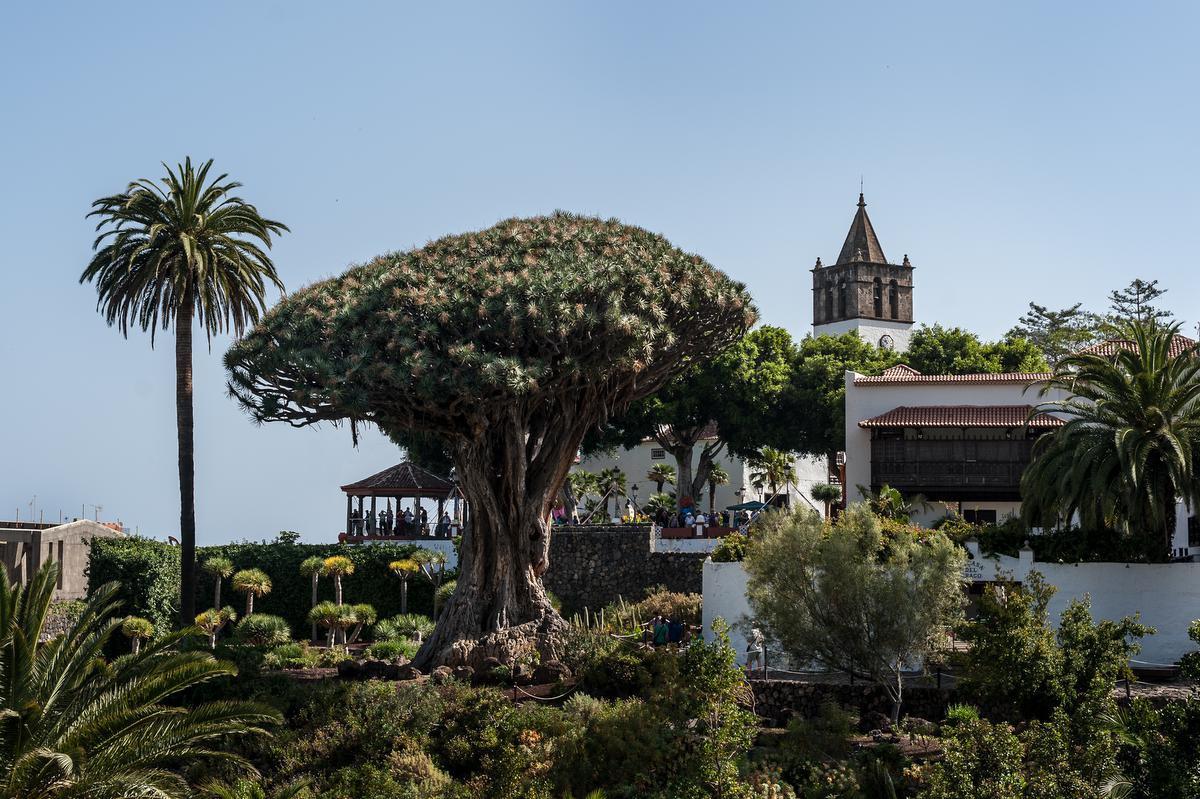 De mooiste parken en tuinen op Tenerife