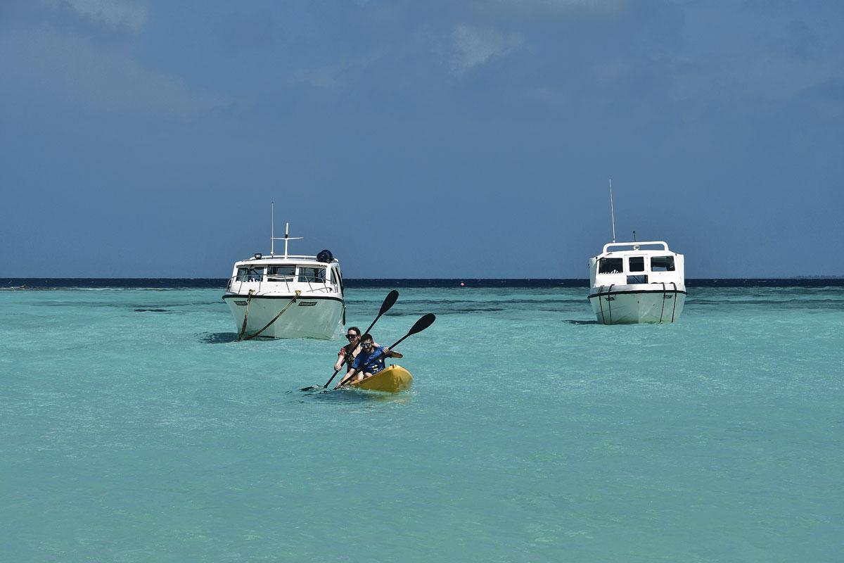 En kayak à la recherche de dauphins.