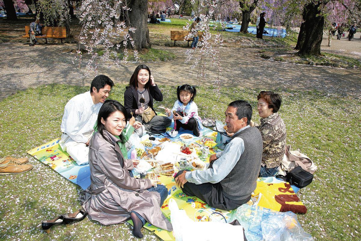 Picknicken met de familie.