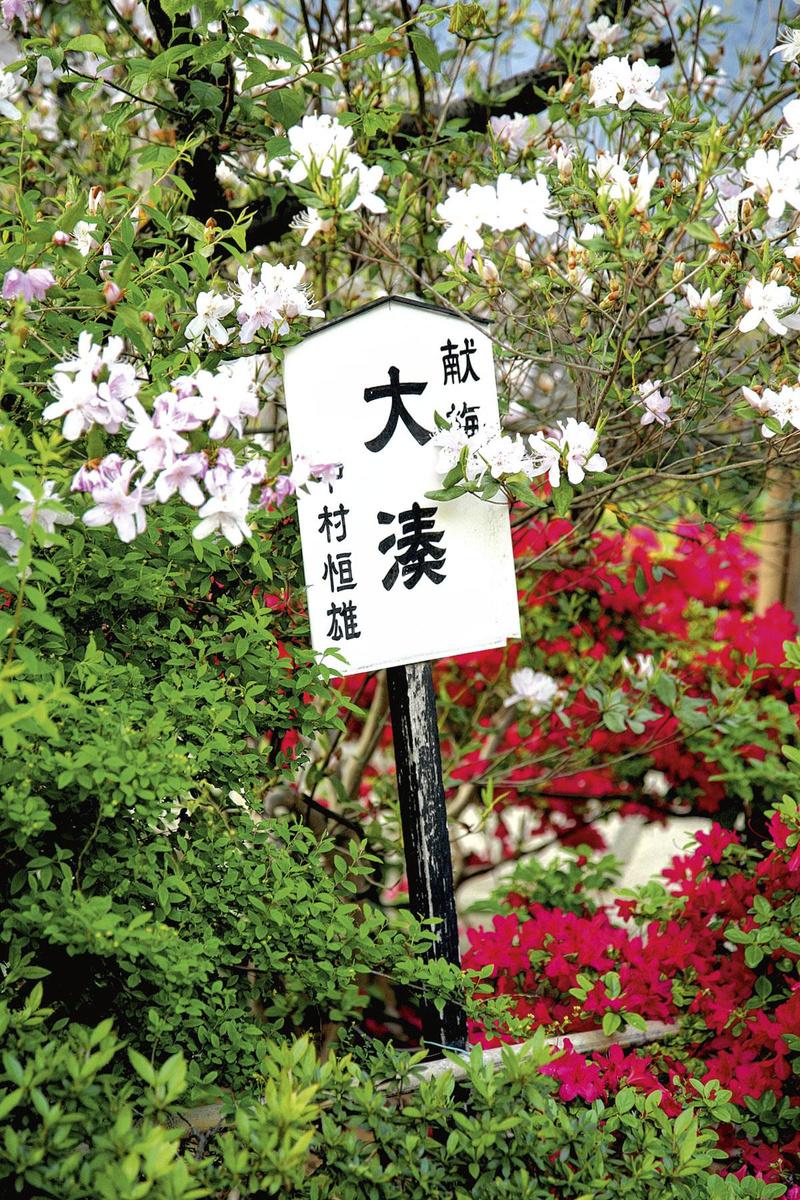 Kanji-inscripties duiden de bloemen.