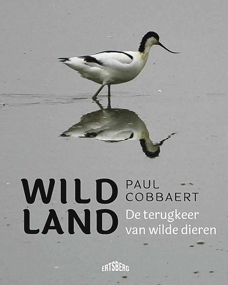 Meer lezen? Paul Cobbaert , Wild land. De terugkeer van wilde dieren. Uitgeverij Ertsberg, 34,99 euro, isbn 9789464369946