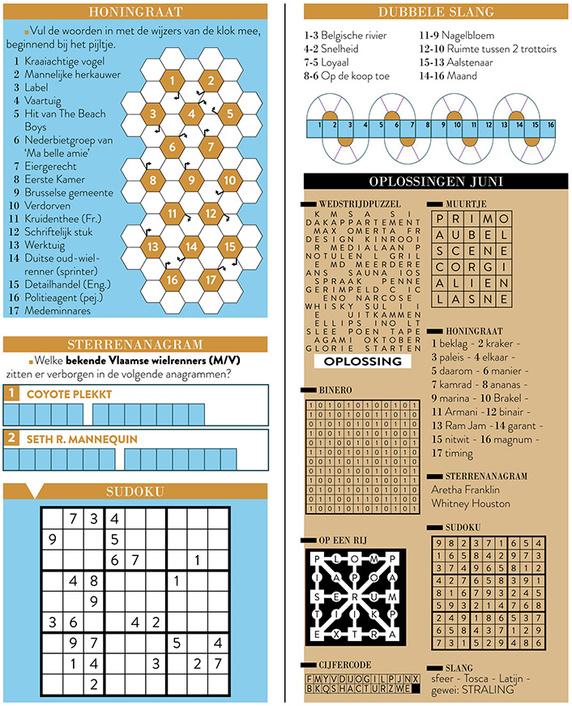 Ontbrekende puzzelpagina