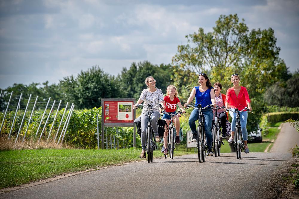 Fietsen langs de wijngaarden