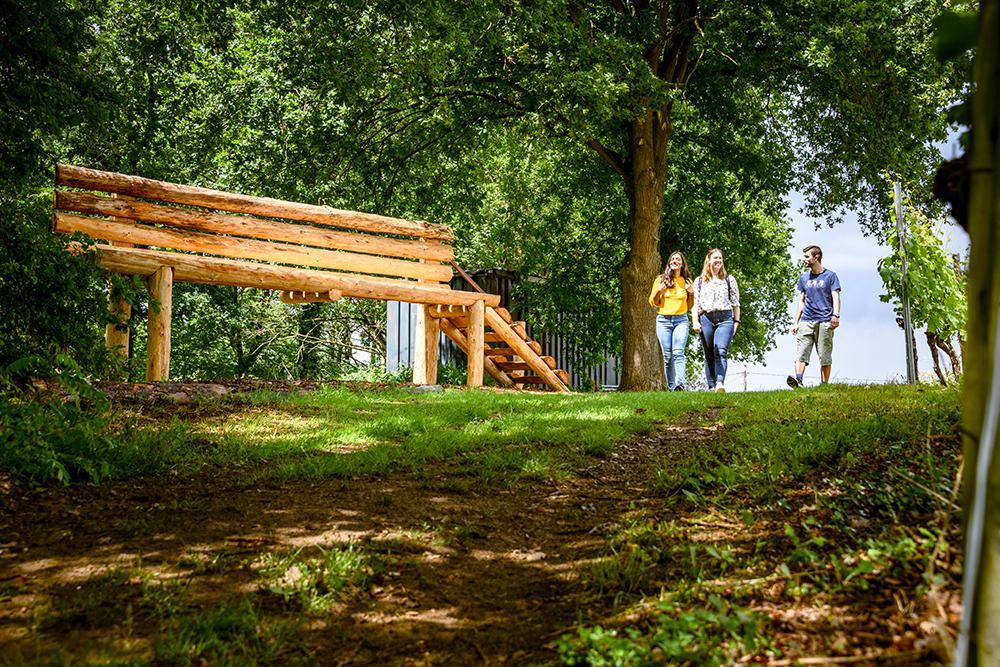Houwaartse wijnbank
