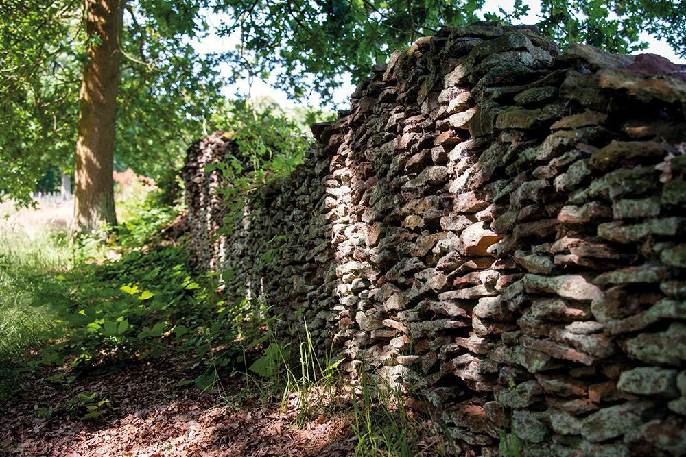 Wijnmuur