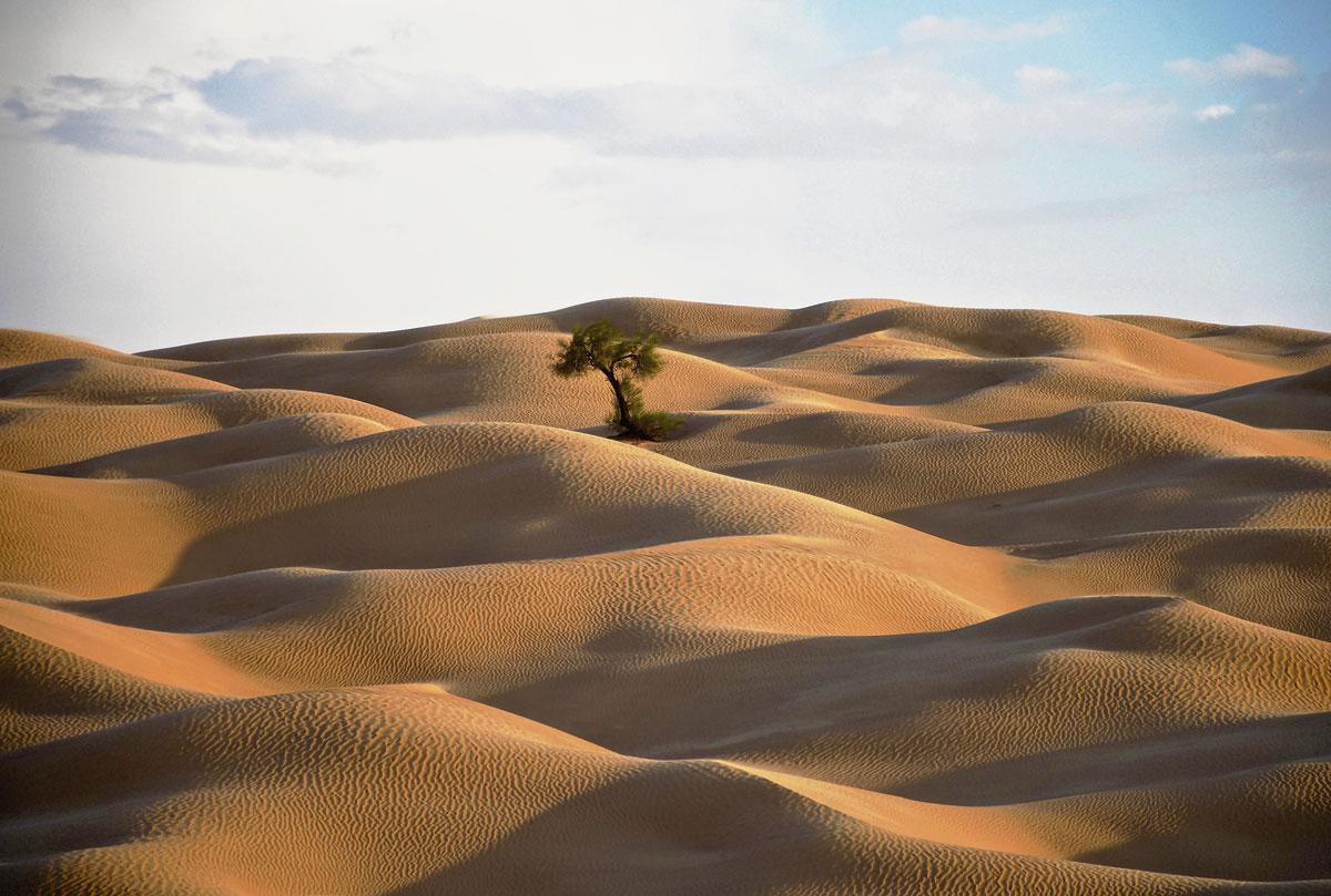 Un fabuleux lever de soleil sur les dunes du Sahara.