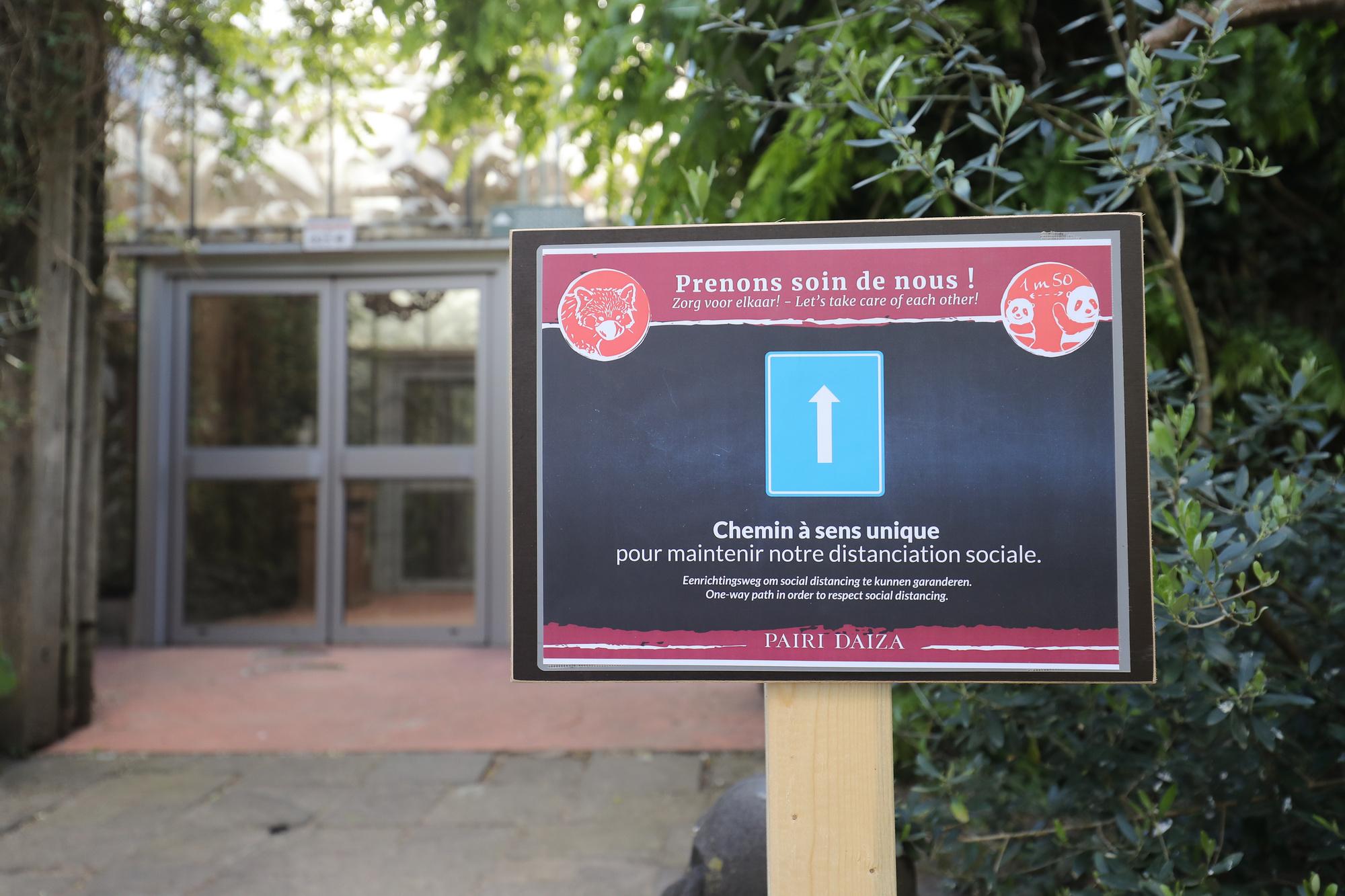 Pairi Daiza renforce ses mesures de sécurité : moins de visiteurs seront admis