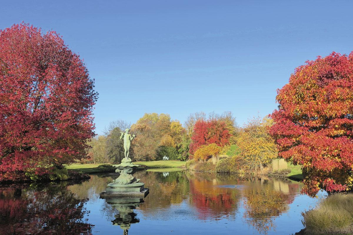 L'arboretum de Wespelaar abrite des arbres du monde entier.