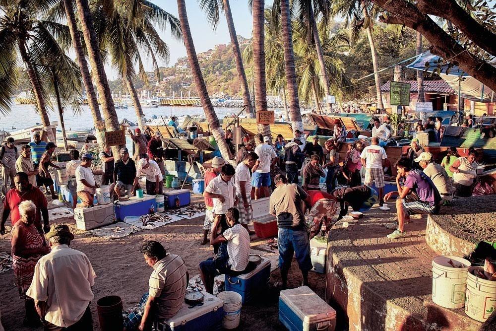 Le marché aux poissons sur le port de Zihuatanejo.