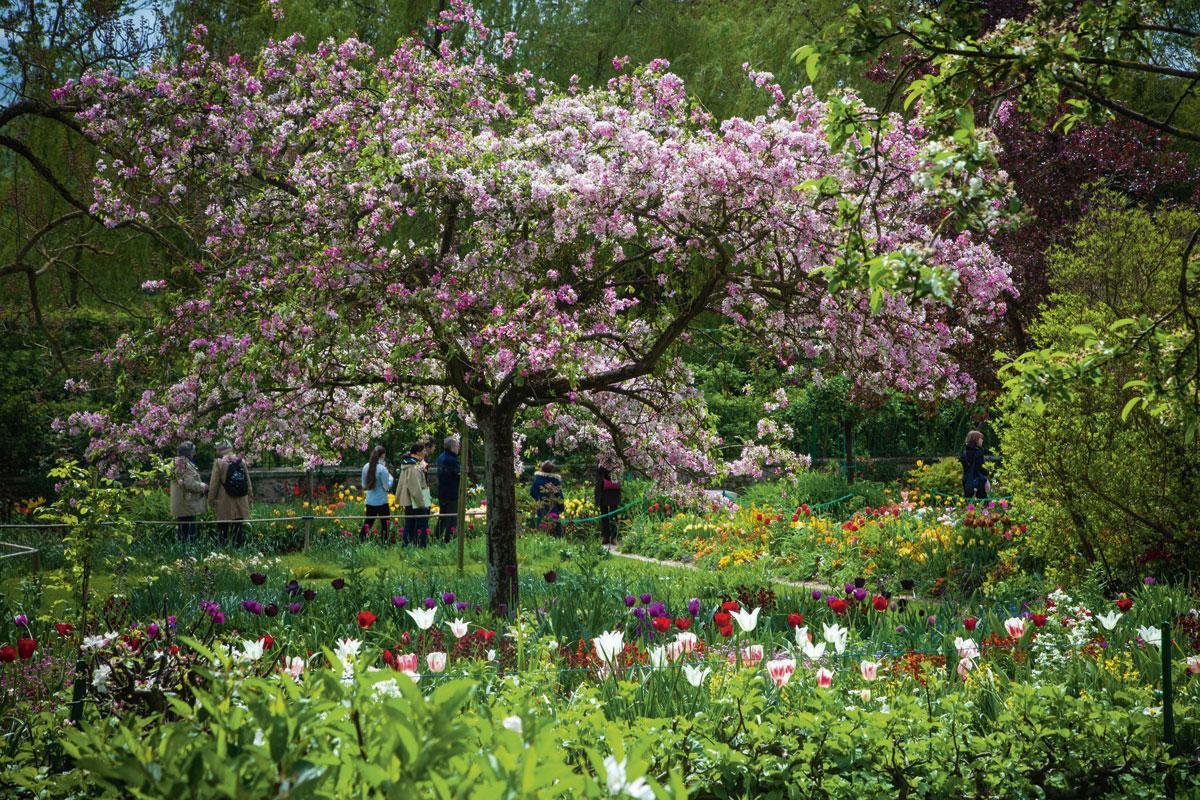 Na de dood van Monet verwilderde de tuin van Giverny. Sinds hij in 1980 werd gerestaureerd en opengesteld voor het publiek, heeft hij zijn kleurenpracht herwonnen.