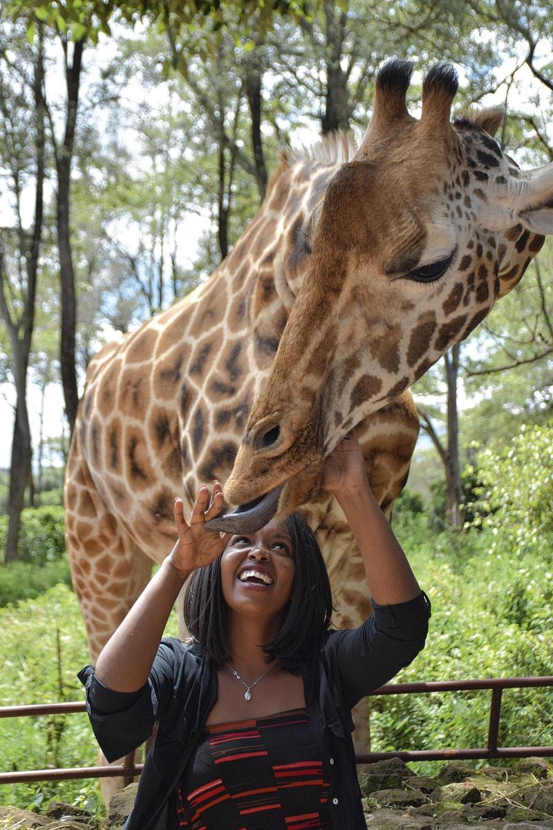 3. Ook giraffen worden in Kenia opgevangen via een trust.