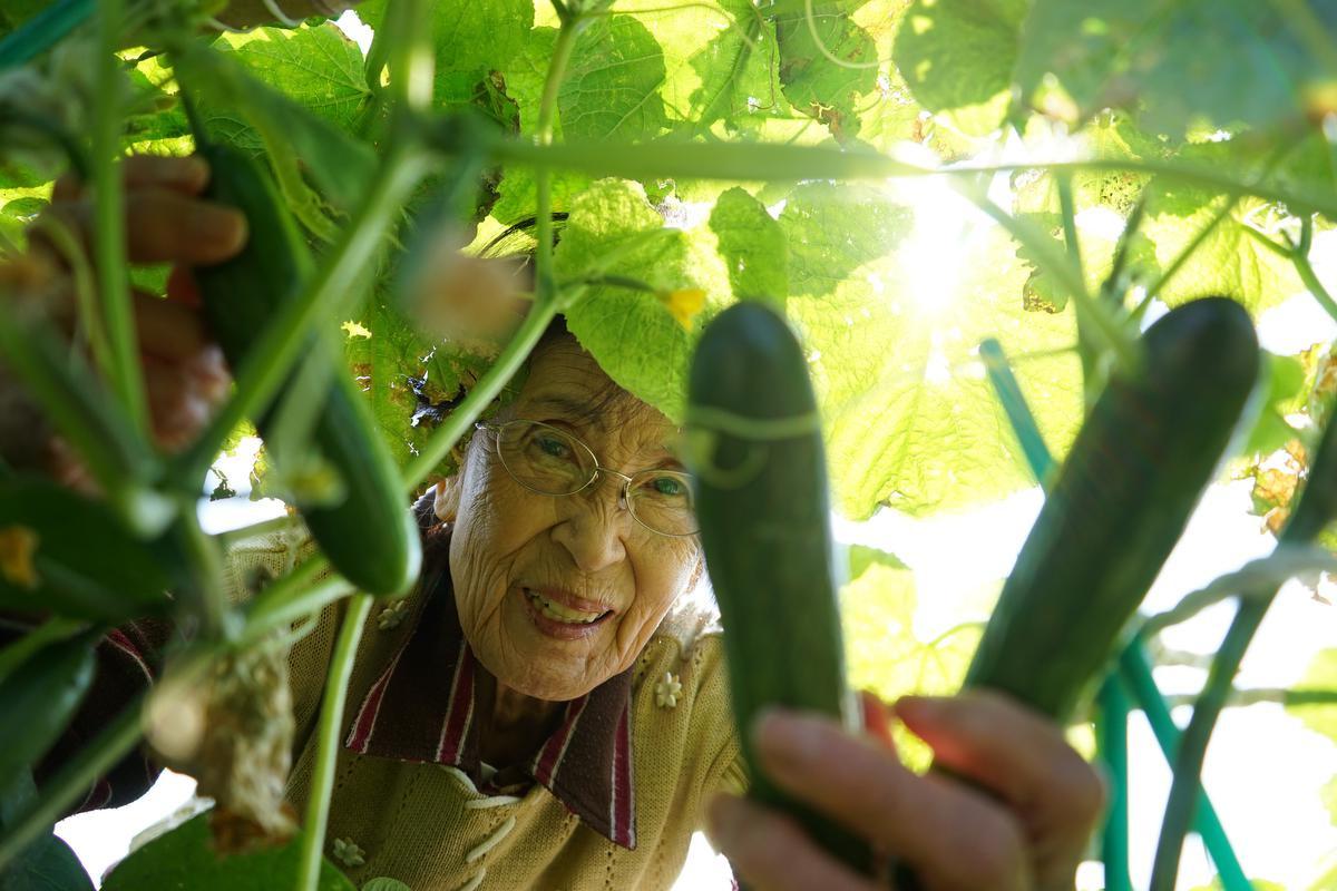 Wat kunnen de 100-jarigen van Okinawa ons leren?