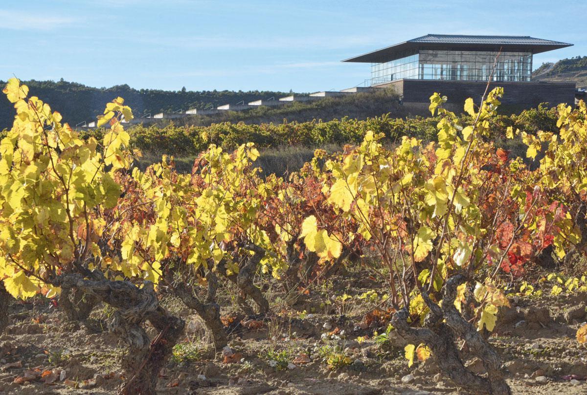 De wijngaarden tooien zich in herfstkleuren  op het domein Bodega Baigorri.