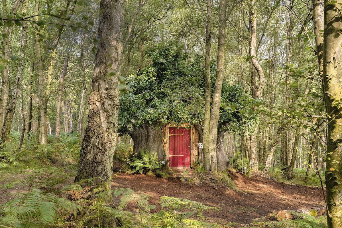 Een originele trip met kinderen? In Ashdown Forest, in het Engelse East-Sussex, opende deze BearBNB. De perfecte kopie van het huis van Disney-figuur Winnie de Poeh. airbnb.com/winniethepooh