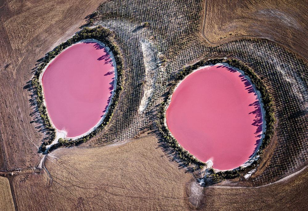 In West-Australië kleuren sommige meren roze door een combinatie van algen, zout en de juiste weersomstandigheden.